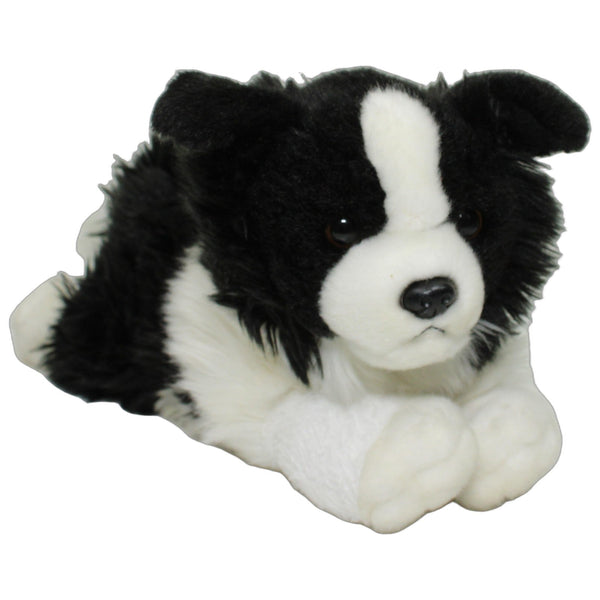 Süßer Border Collie, liegend