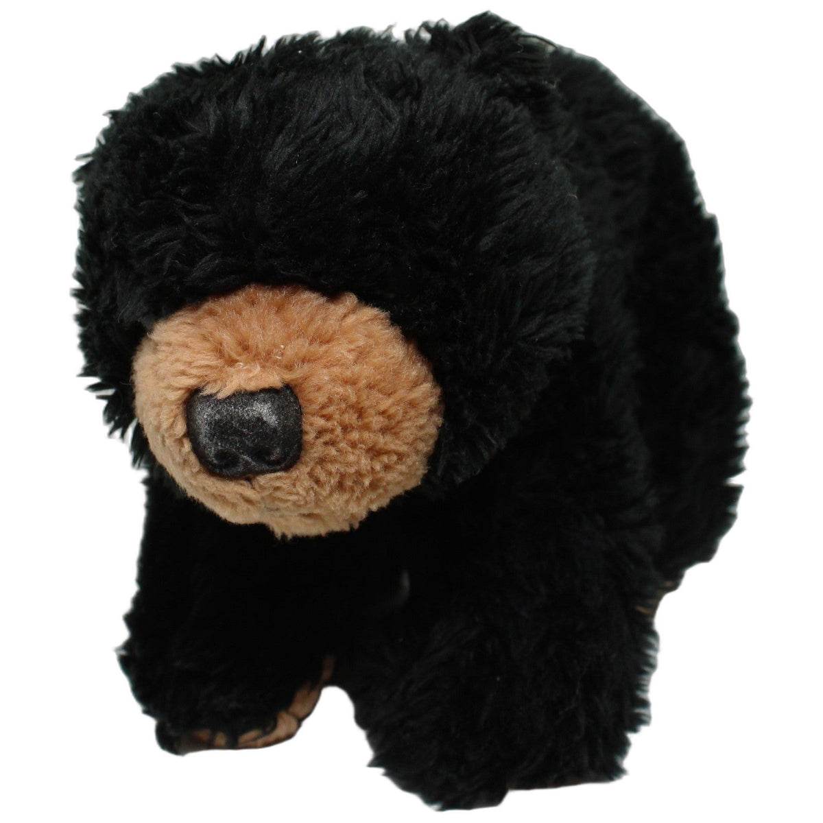 123000028396 Nature Planet Plan, hübscher Schwarzbär Kuscheltier Kumpel Leo 25cm Beige Bär