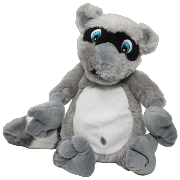 Schlenker Waschbär mit blauen Augen
