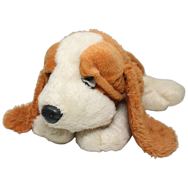 XL Weiß-brauner Basset Hund, liegend