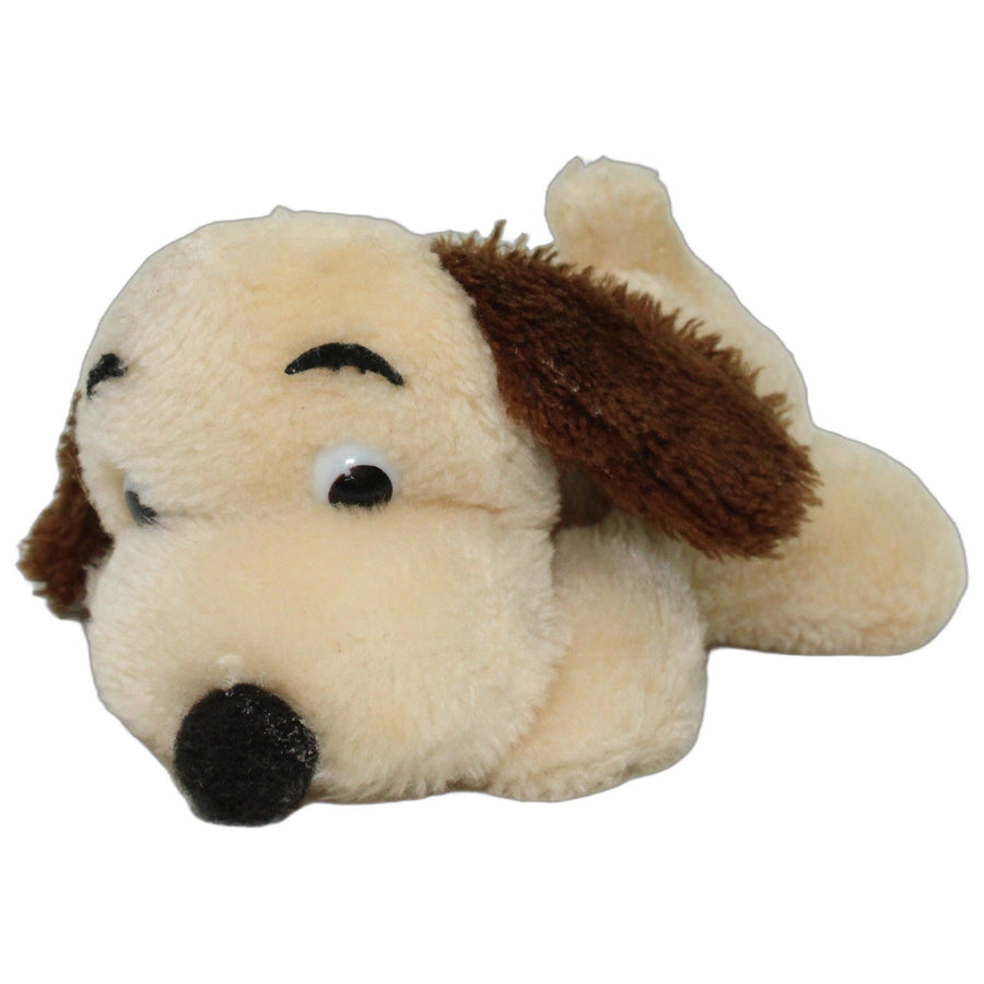 Kleiner beiger Hund mit braunen Ohren, liegend