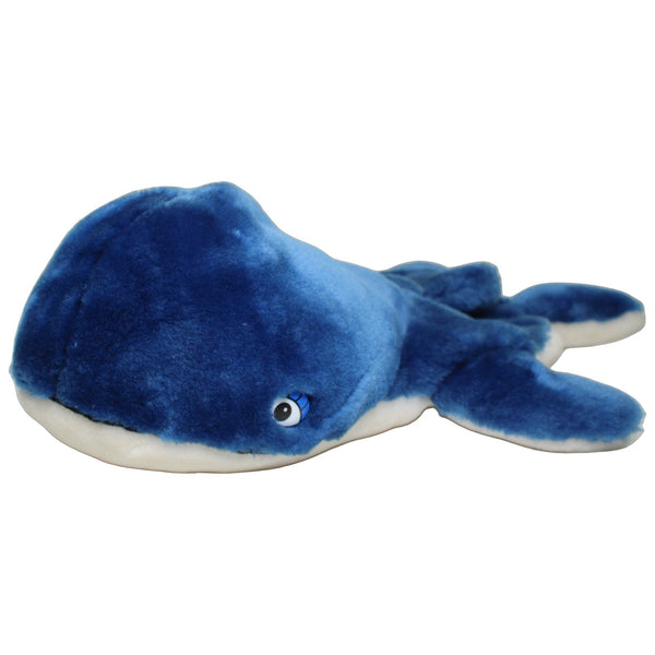 Großer blauer Wal