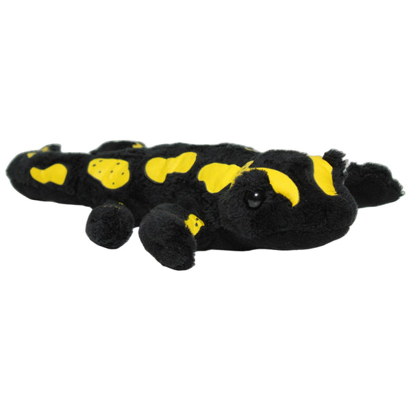Salamander, schwarz-gelb