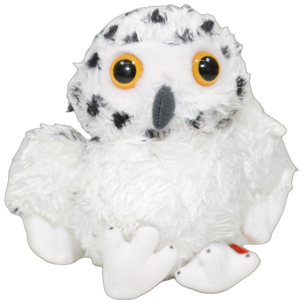 Hübsche kleine Schneeeule