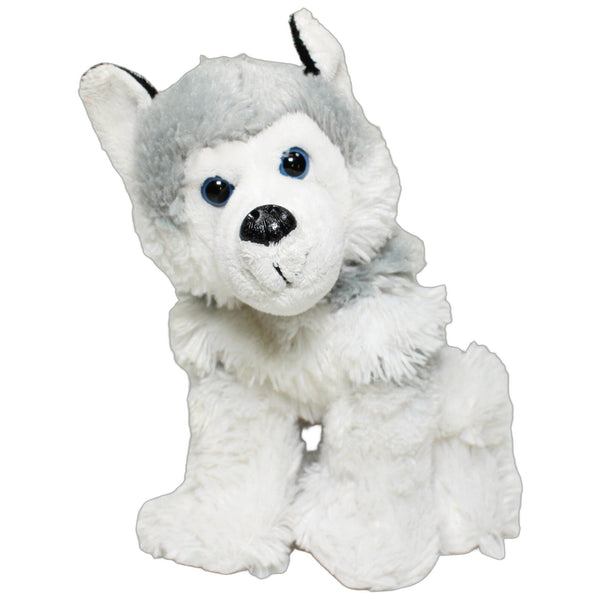 Süßer Husky, sitzend