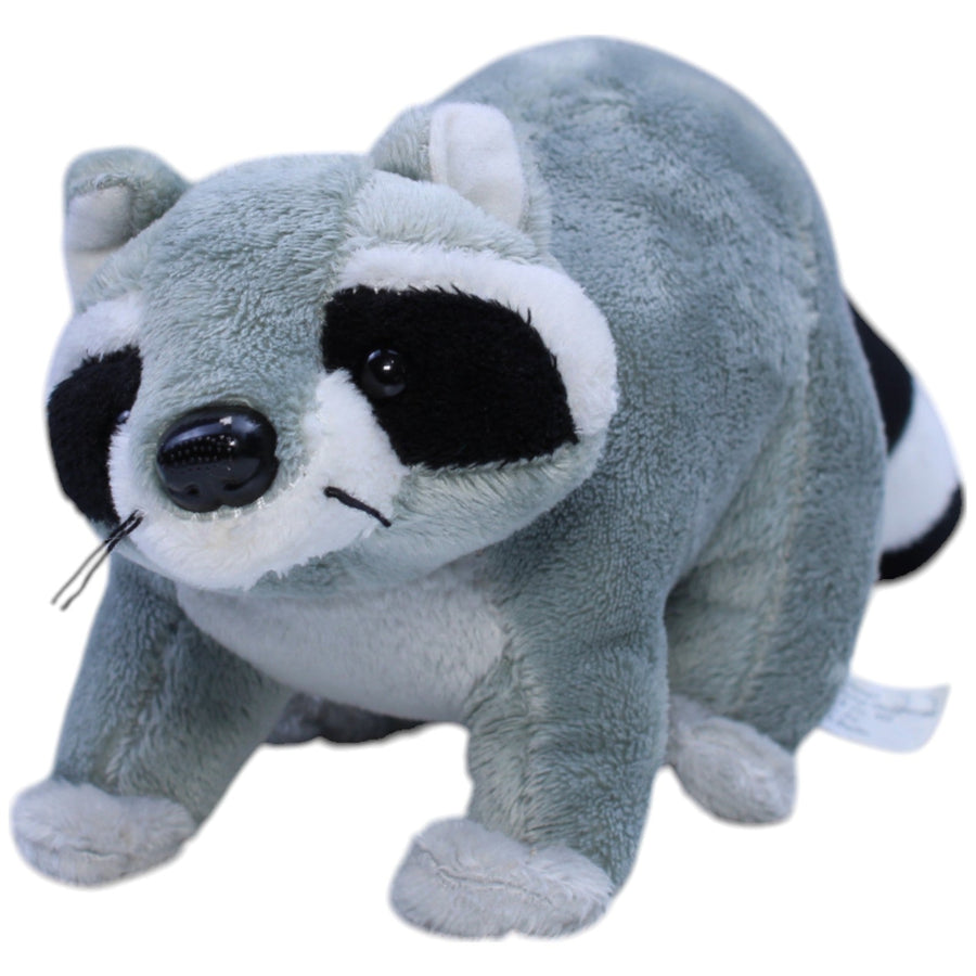 Waschbär