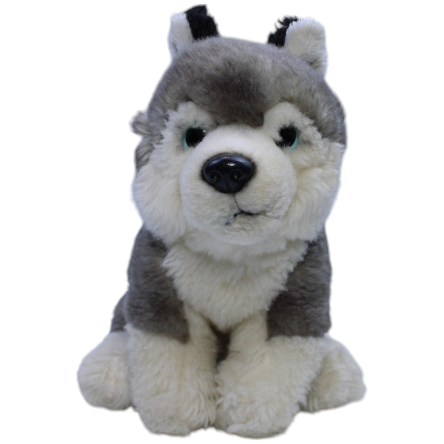 Husky, klein