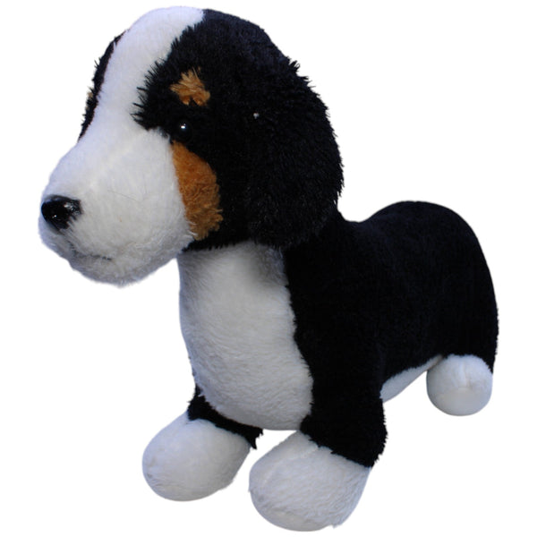 XL Dackel-Berner Sennenhund Mischling