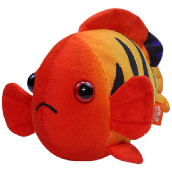 Feuer-Herzogfisch
