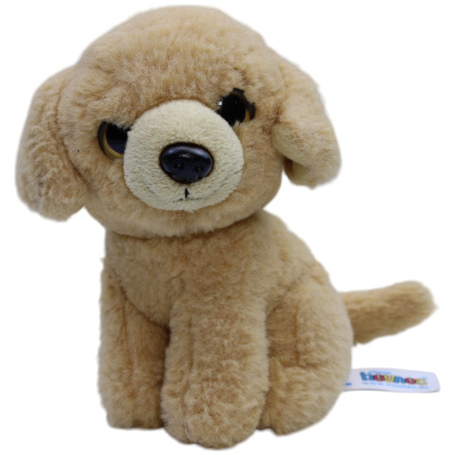 Golden Retriever Welpe