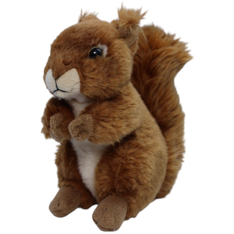 Süßes Eichhörnchen