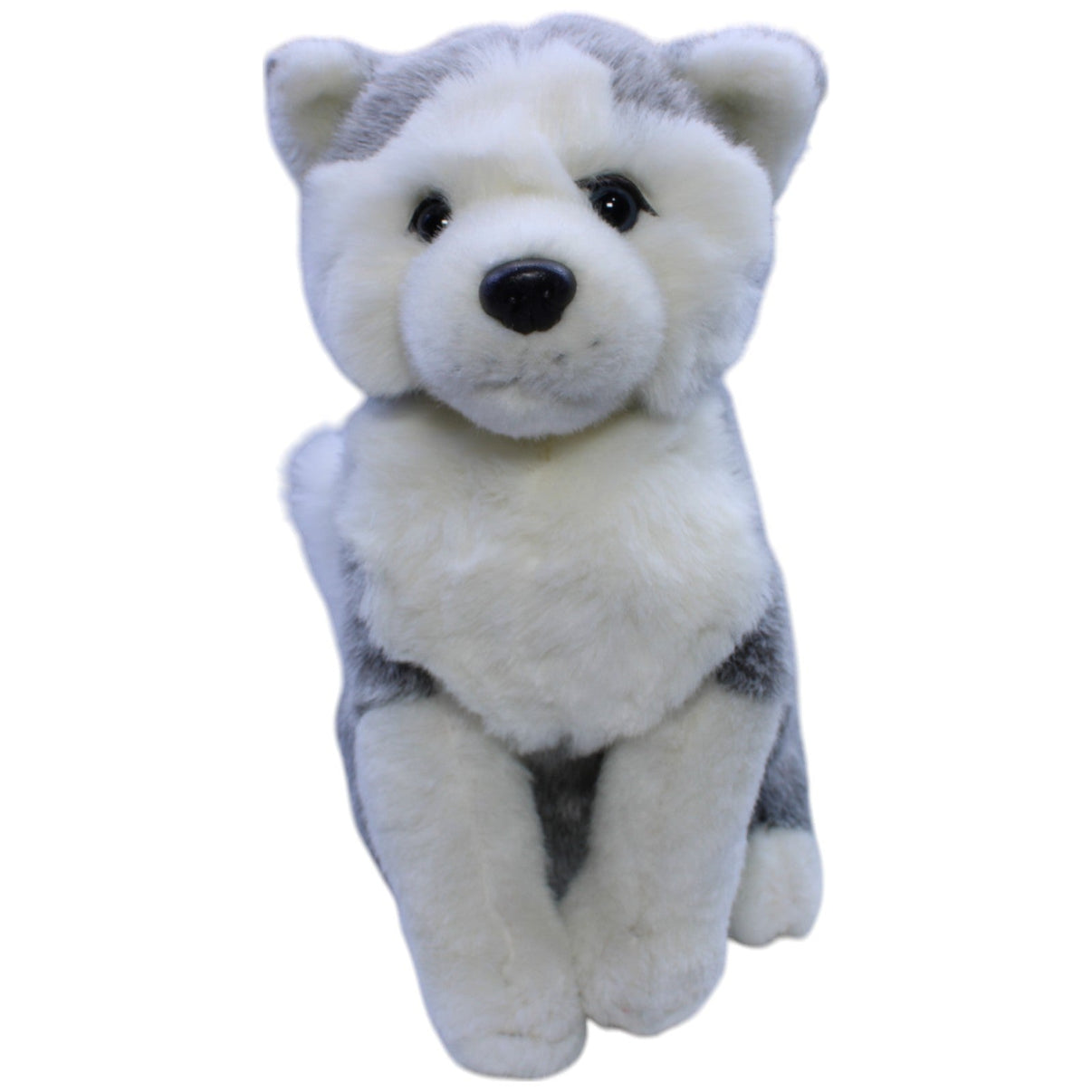 12310426 Eiszeit Quelle Hübscher Husky, groß Kuscheltier Kumpel Leo Gebraucht Hund