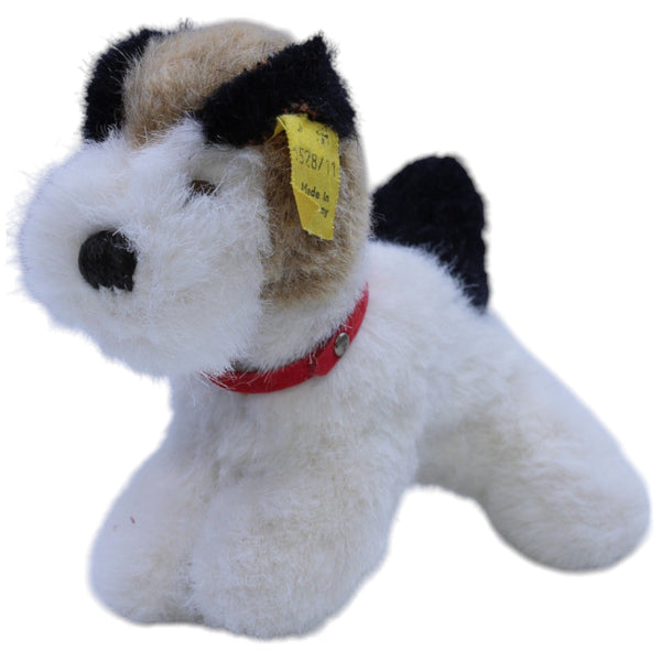 Jack Russell Terrier, Foxy (1528/11)