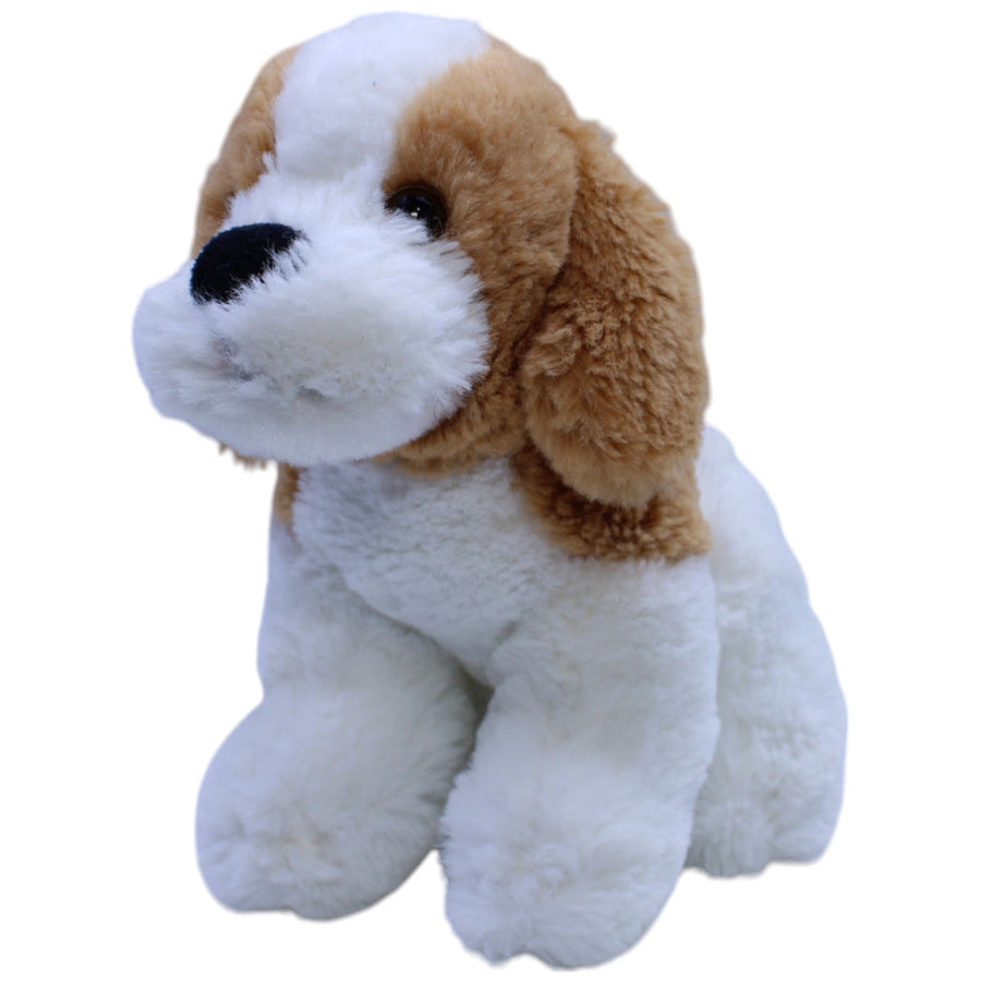Süßer Hund