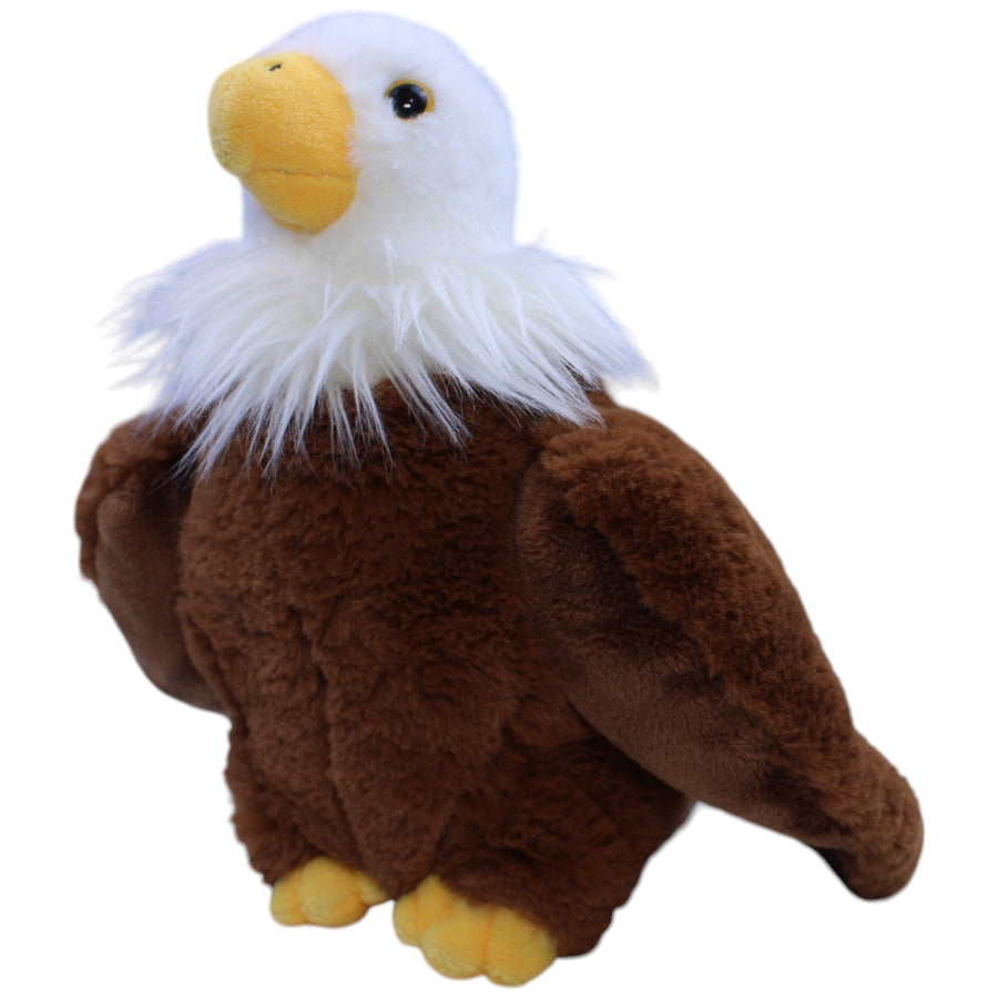 Weißkopfseeadler, stehend