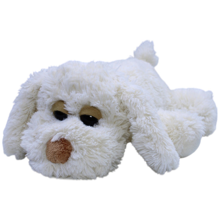 Süßer verschlafender Hund
