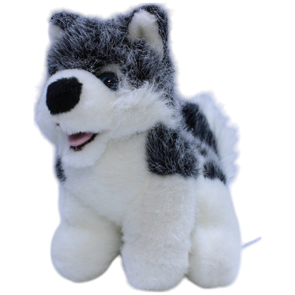 Süßer Husky, sitzend