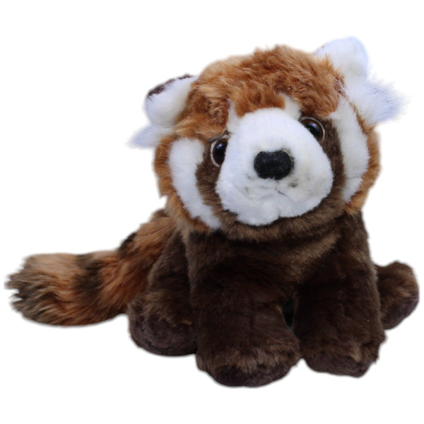 Roter Panda, sitzend