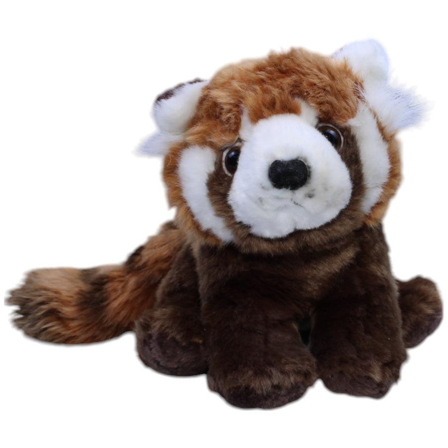Roter Panda, sitzend