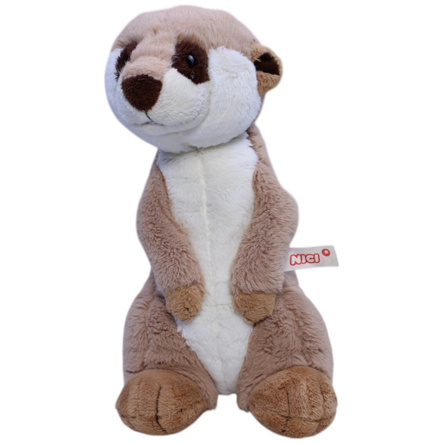 Erdmännchen stehend