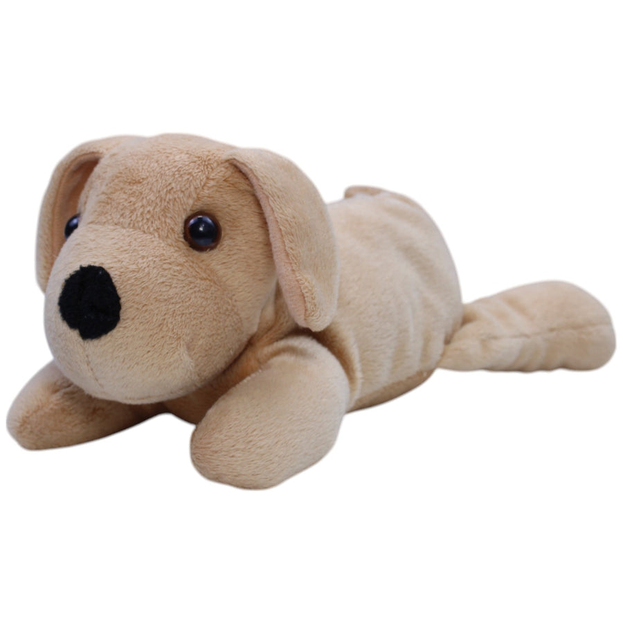 Hellbrauner Hund, liegend
