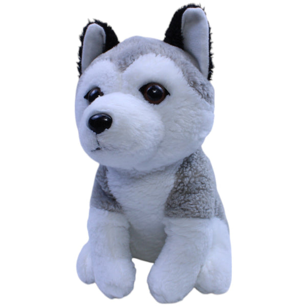 Pets2Cuddle, Husky