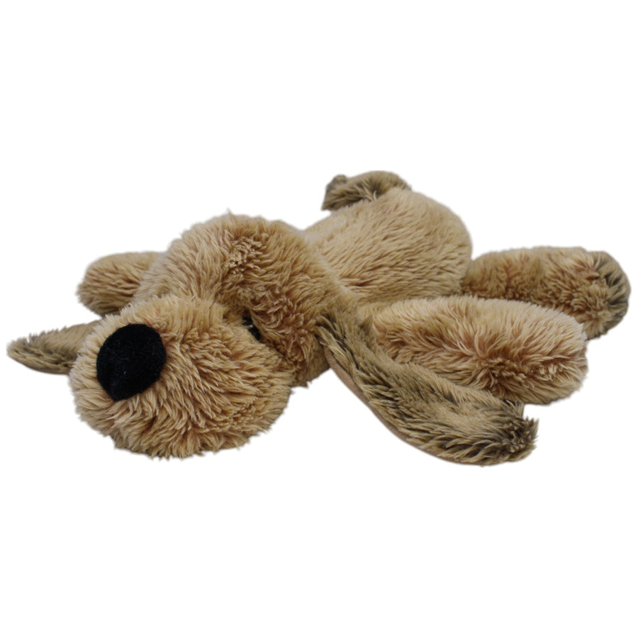 Brauner Hund, liegend