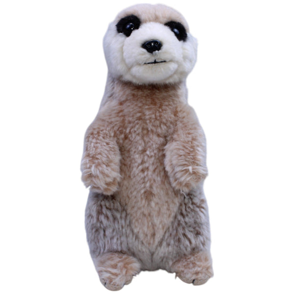 Süßes Erdmännchen, stehend