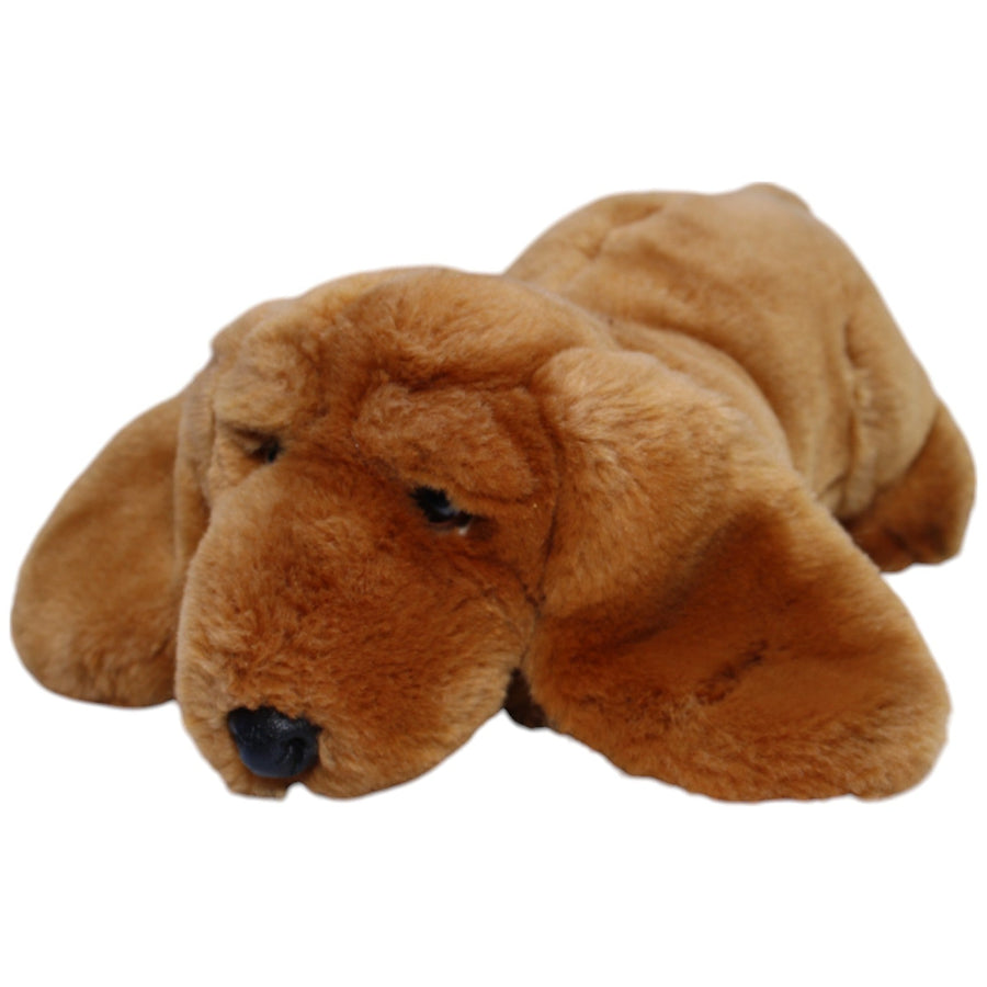 Brauner Hund mit großen Ohren, liegend