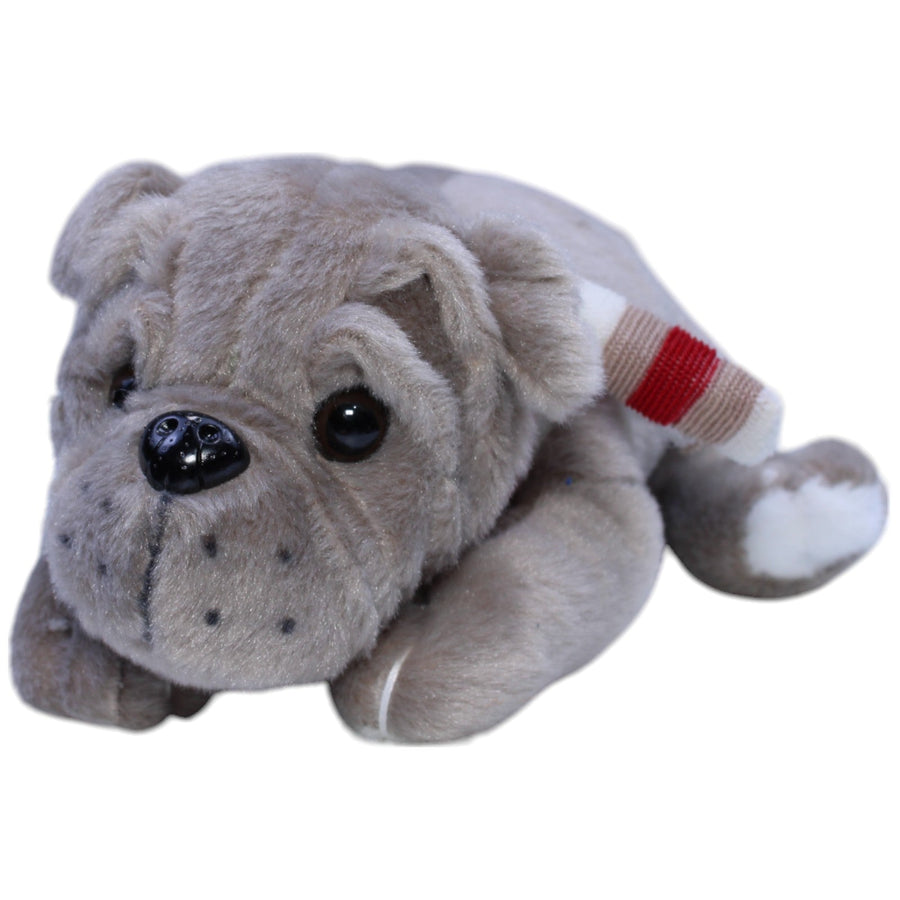 Hund mit Schal, liegend