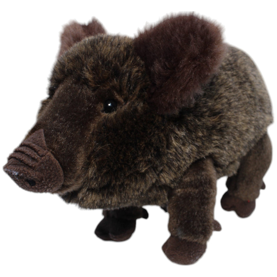 Schönes Wildschwein