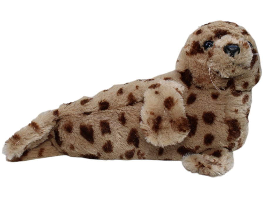 Süße Leopardenrobbe, liegend