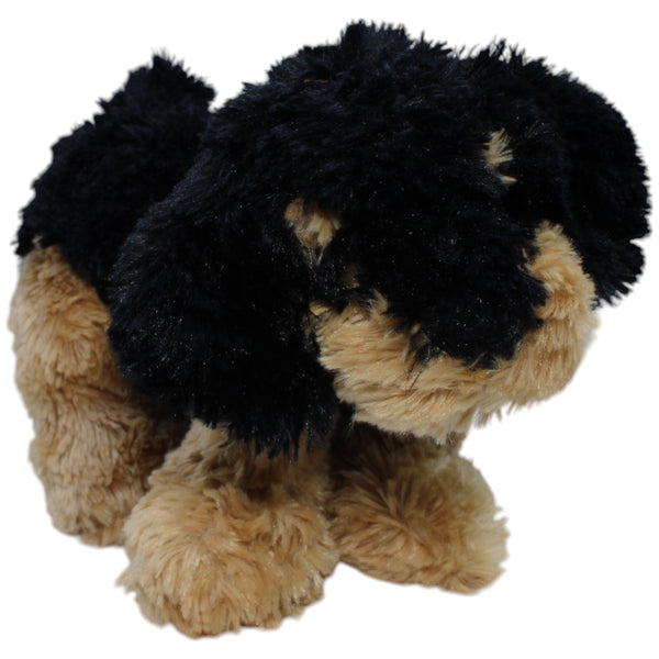 Toy Time, süßer Hund