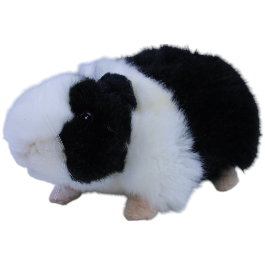 Meerschweinchen, schwarz-weiß