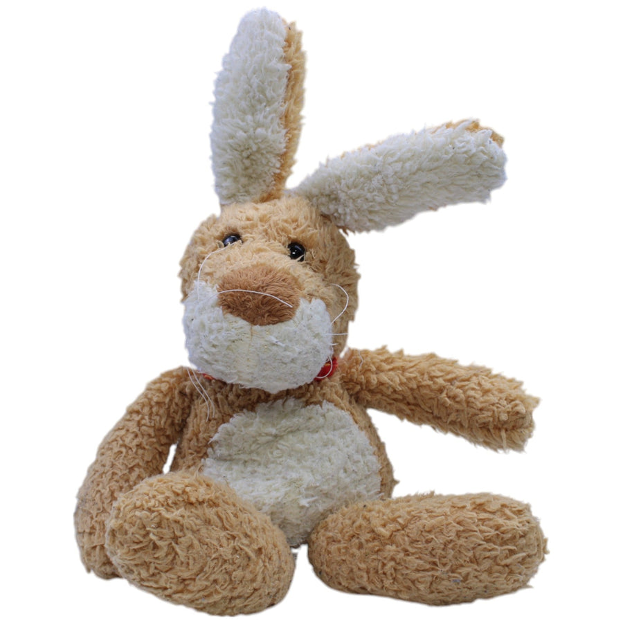 Hase
