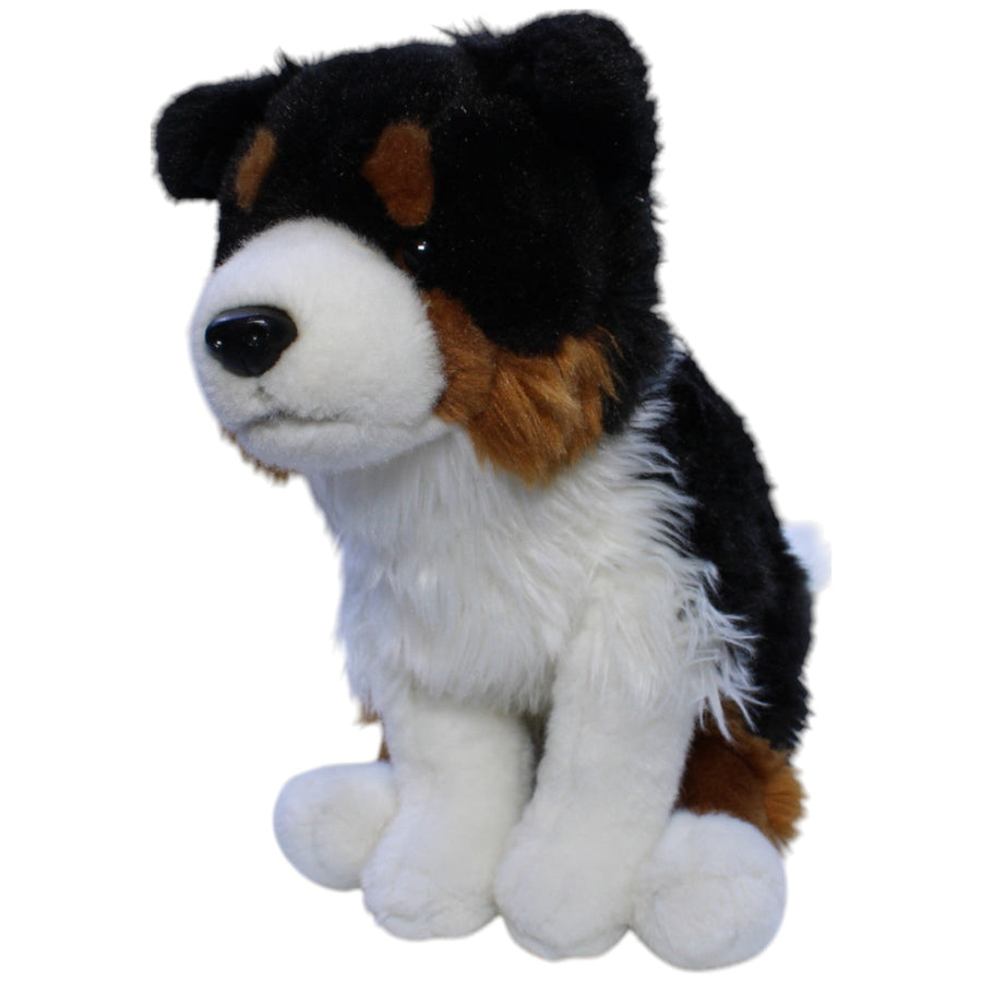 Tri-Color Border Collie, sitzend