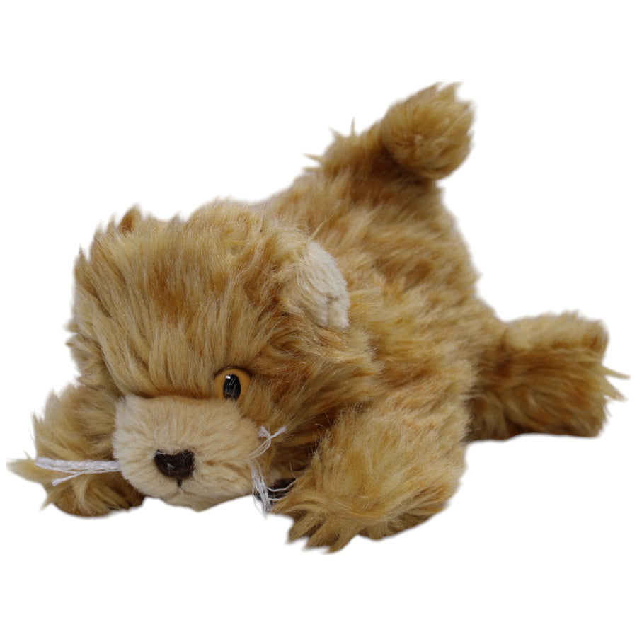Süße rote Katze
