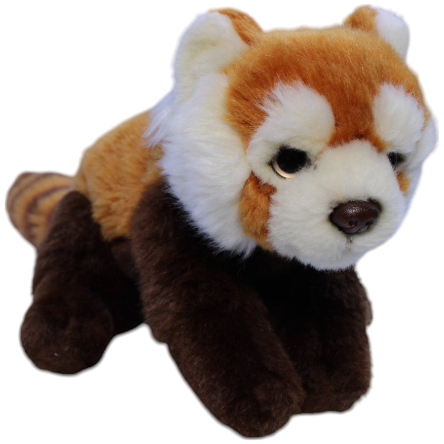 Roter Panda