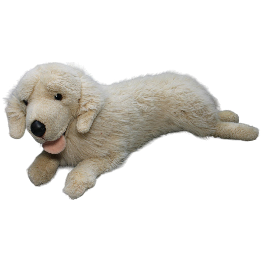 XXL Hund, Golden Retriever liegend