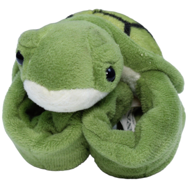 Schildkröte