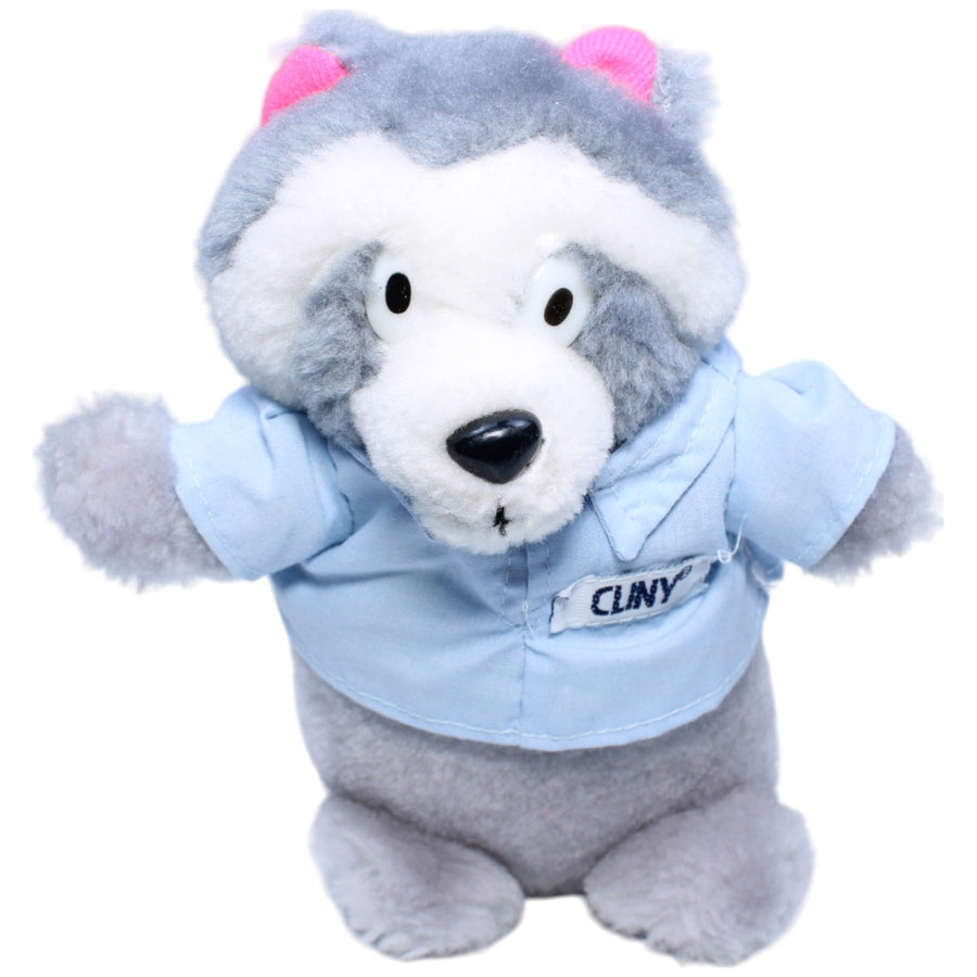 Waschbär Cliny
