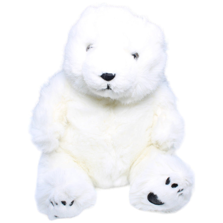 Eisbär, sitzend
