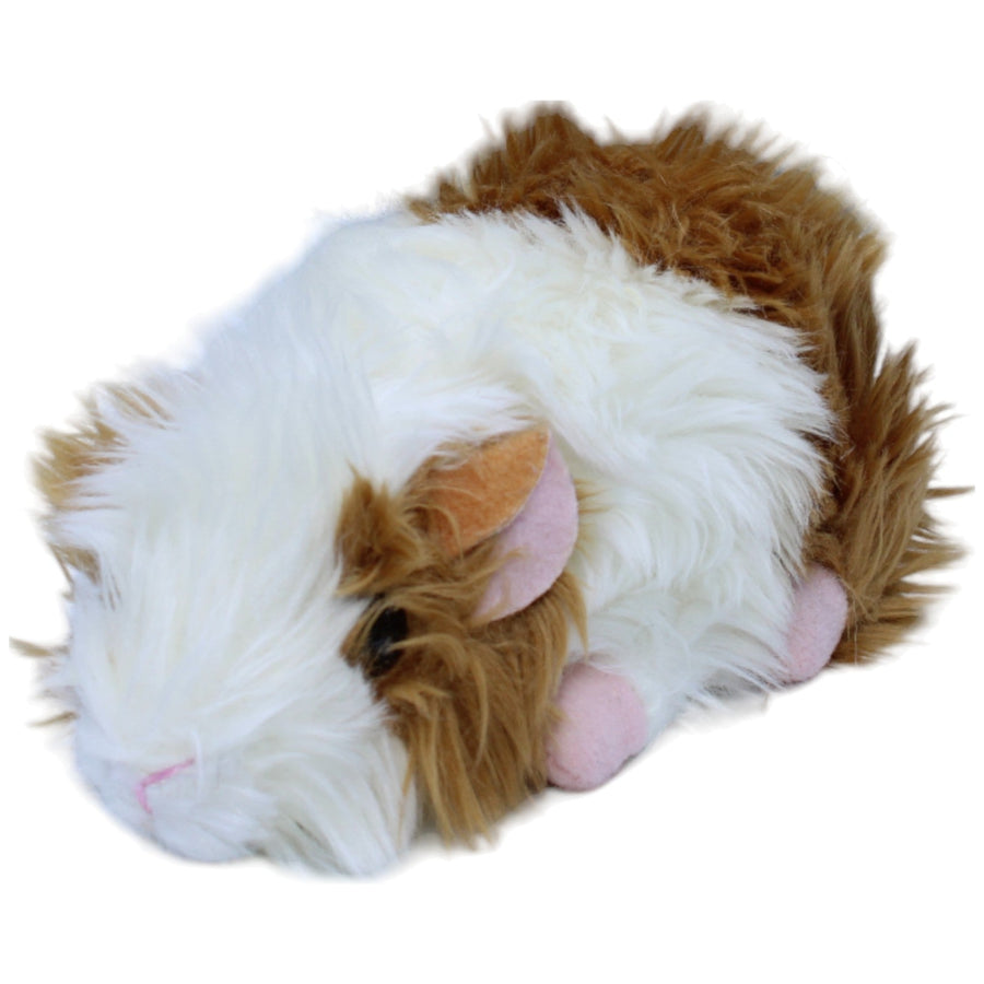 Meerschweinchen, klein