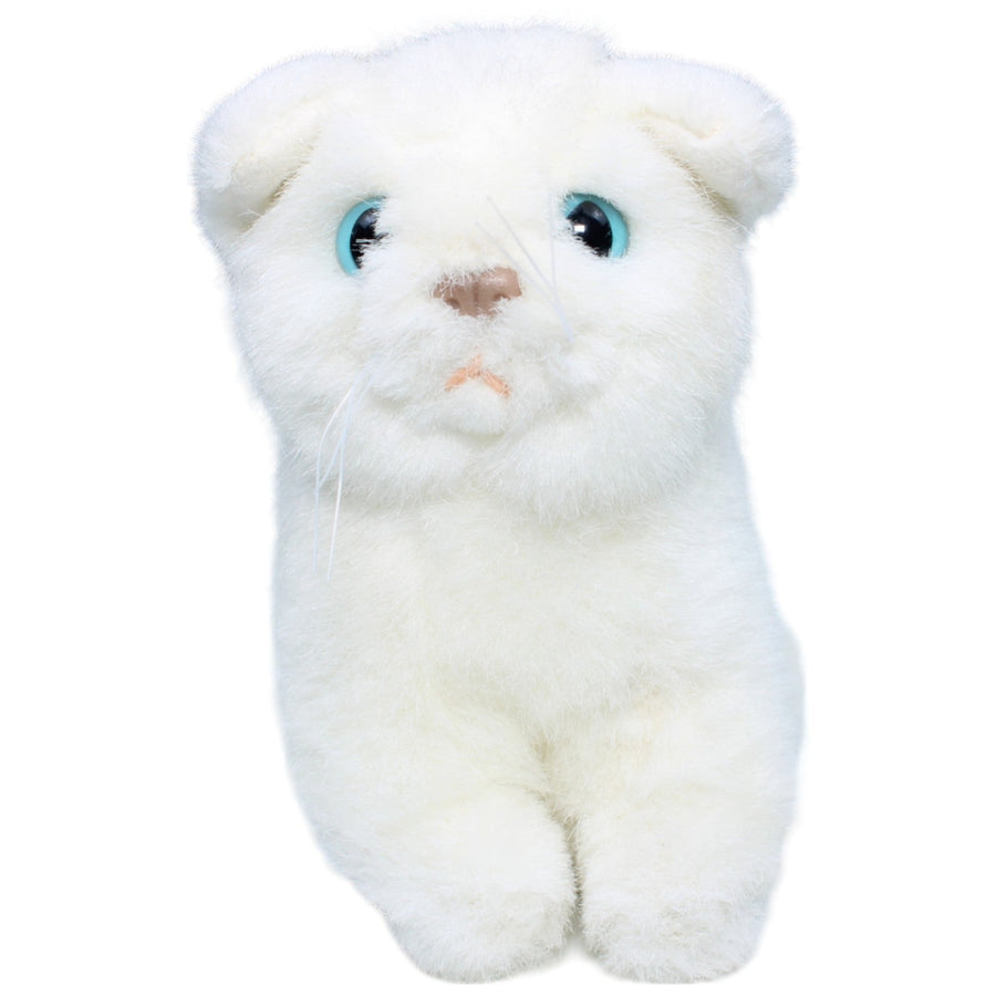 Katze, weiß