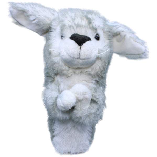 Hase