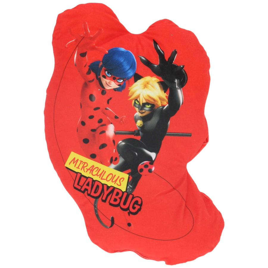 Ladybug & Cat Noir aus Miraculous