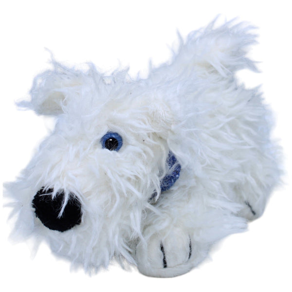 Hund mit blauem Halstuch, weiß