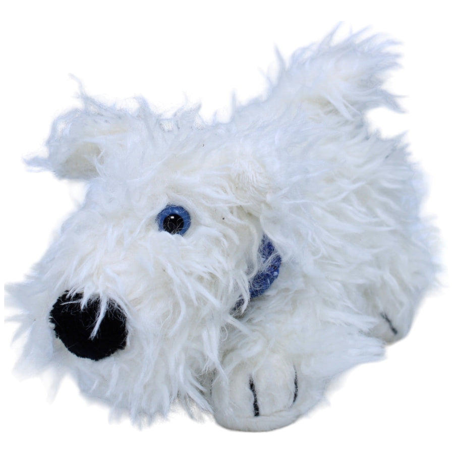 Hund mit blauem Halstuch, weiß