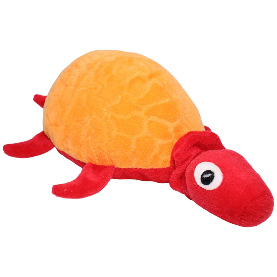 Schildkröte, KORALL SKÖLDPADDA