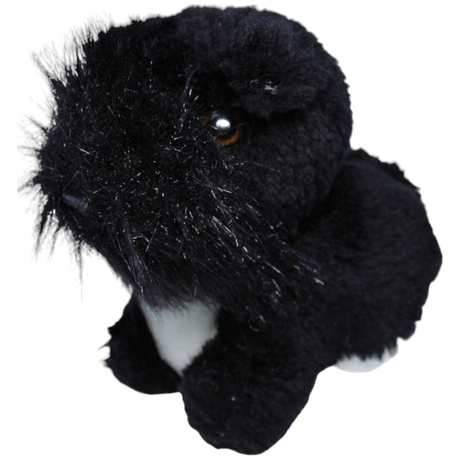 Scottish Terrier, schwarz